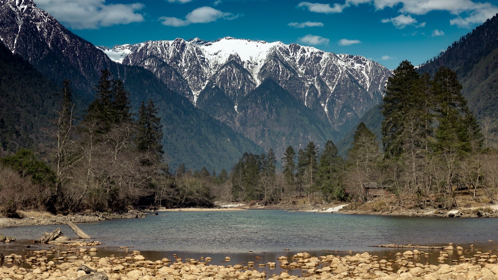 A wide river running through the Dibang Valley over a stony bed, with forested slopes and a snow-capped mountain range behind